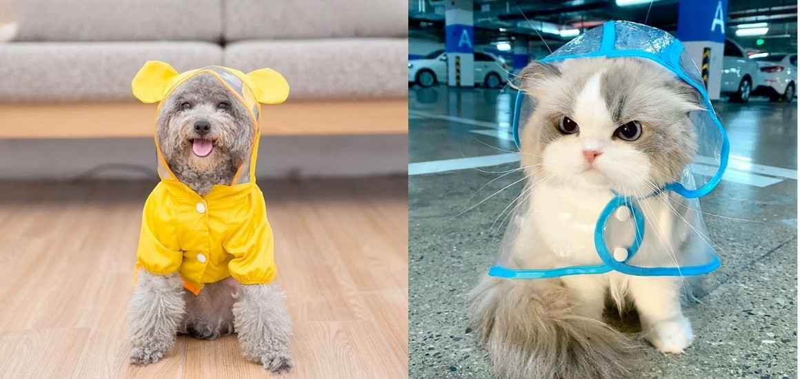 Áo mưa chó mèo cute dễ thương