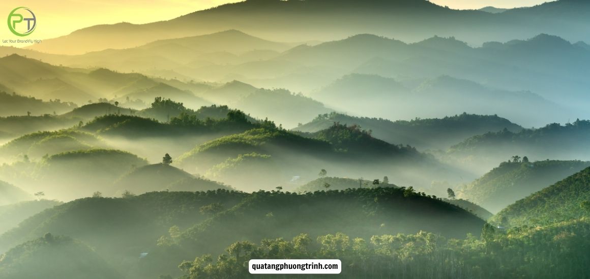 Thiên nhiên tươi đẹp - cảm hứng sáng tác tạo nên tinh thần ngày Tết