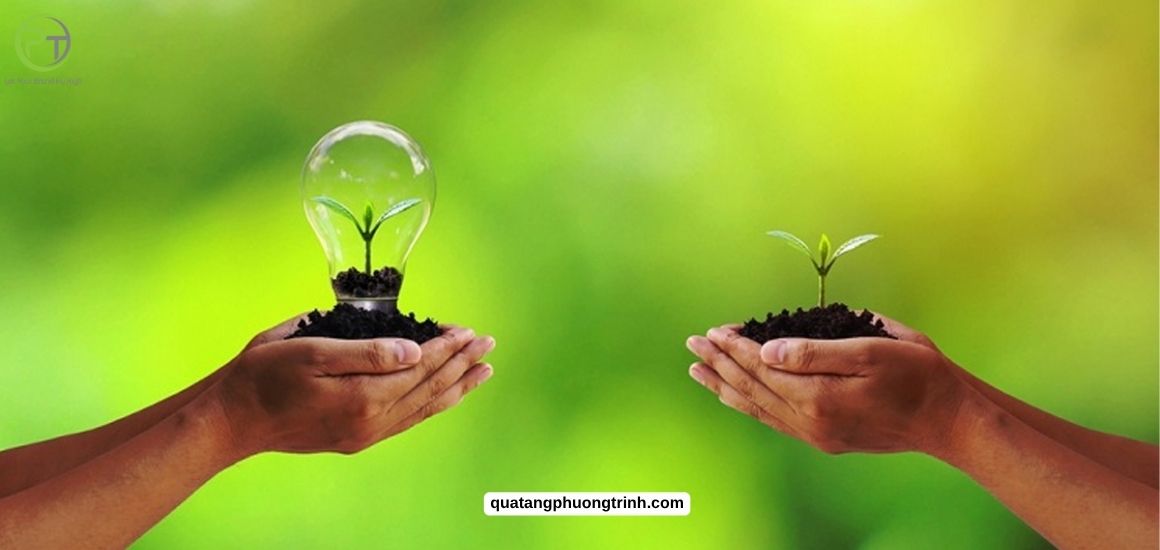 Chủ đề Thế giới xanh - thông điệp bền vững cho năm mới