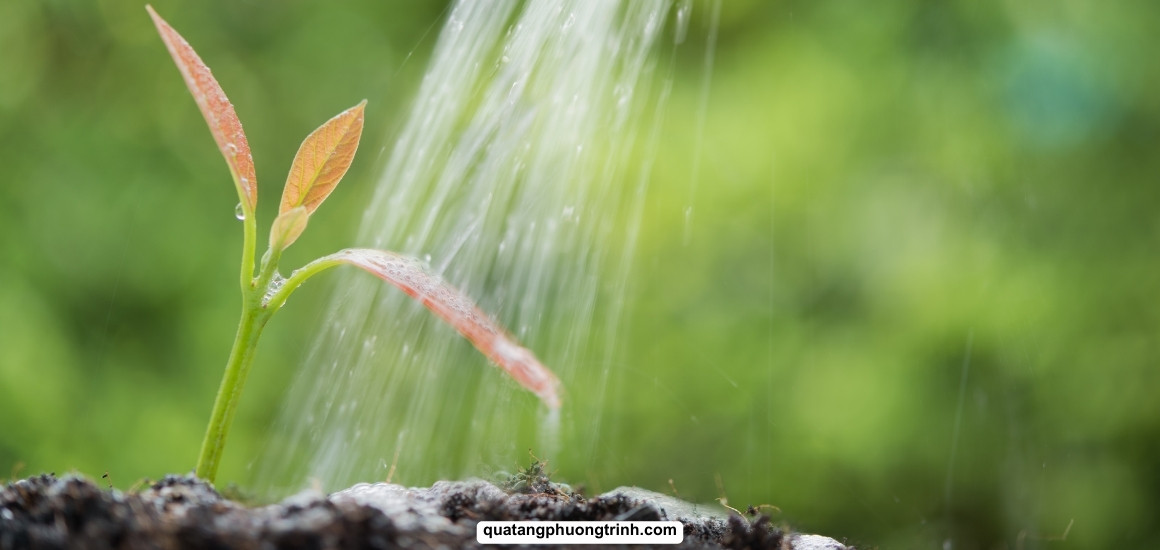 Những giọt nước bền bỉ, nuôi lớn niềm tin 