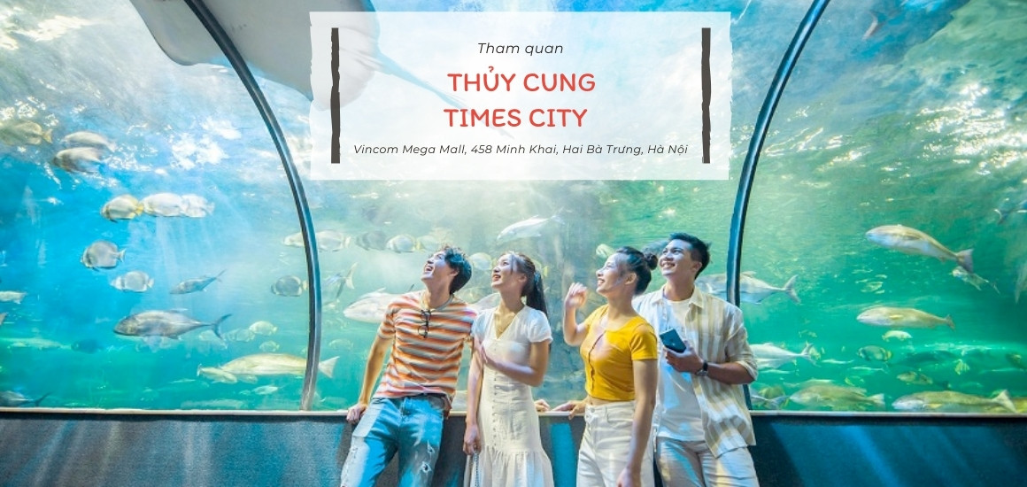 Khám phá thế giới đại dương tại thủy cung Times City